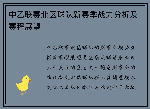 中乙联赛北区球队新赛季战力分析及赛程展望